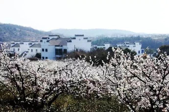 舞蹈韧带拉伤压开就好了么游戏画面